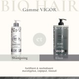 gamme vigor.jpg