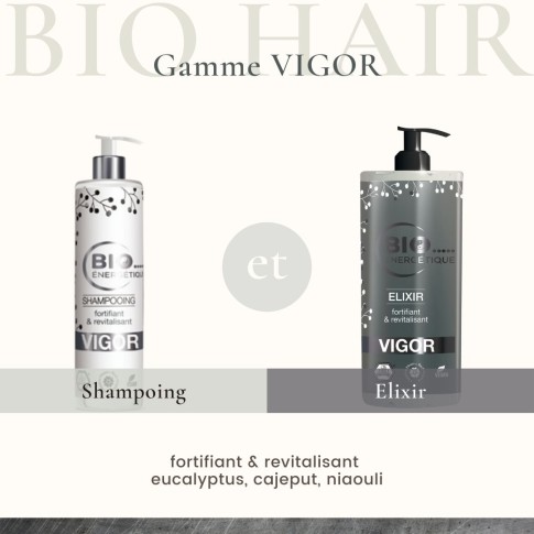 gamme vigor.jpg