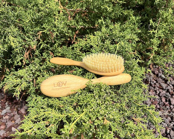 Brosse à cheveux vegan