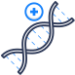 genetique.png