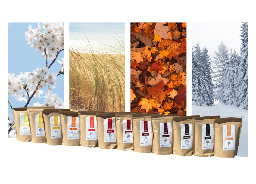 coloration v&eacute;g&eacute;tale BIO HAIR