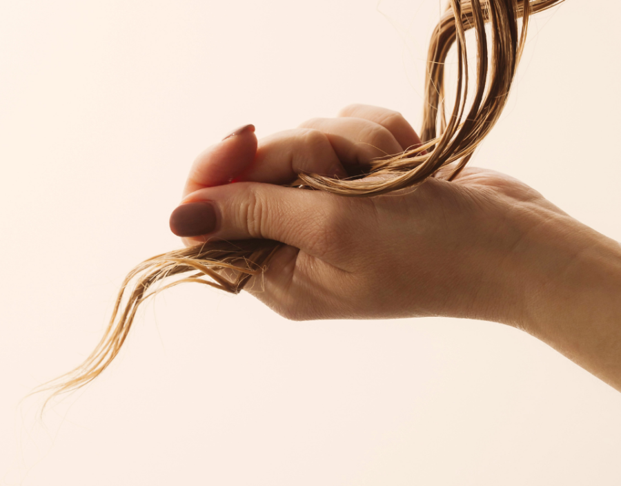 dates des formations BIO HAIR
