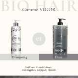 gamme vigor.jpg gamme vigor.jpg