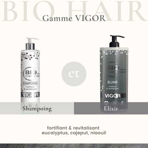 gamme vigor.jpg gamme vigor.jpg