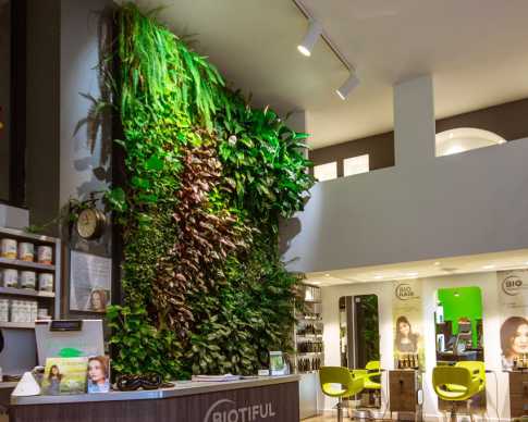 mur-vegetal-biotifulhair.jpg mur-vegetal-biotifulhair.jpg