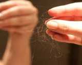 perte-cheveux-automne.jpg perte-cheveux-automne.jpg