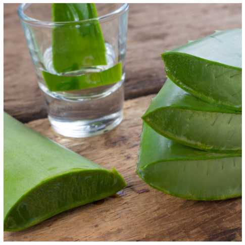 coloration-vegetale-avantage-aloevera.jpg coloration-vegetale-avantage-aloevera.jpg
