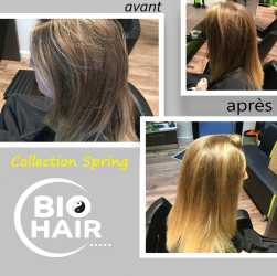 Collection-Spring-biohair-4.jpg Collection-Spring-biohair-4.jpg