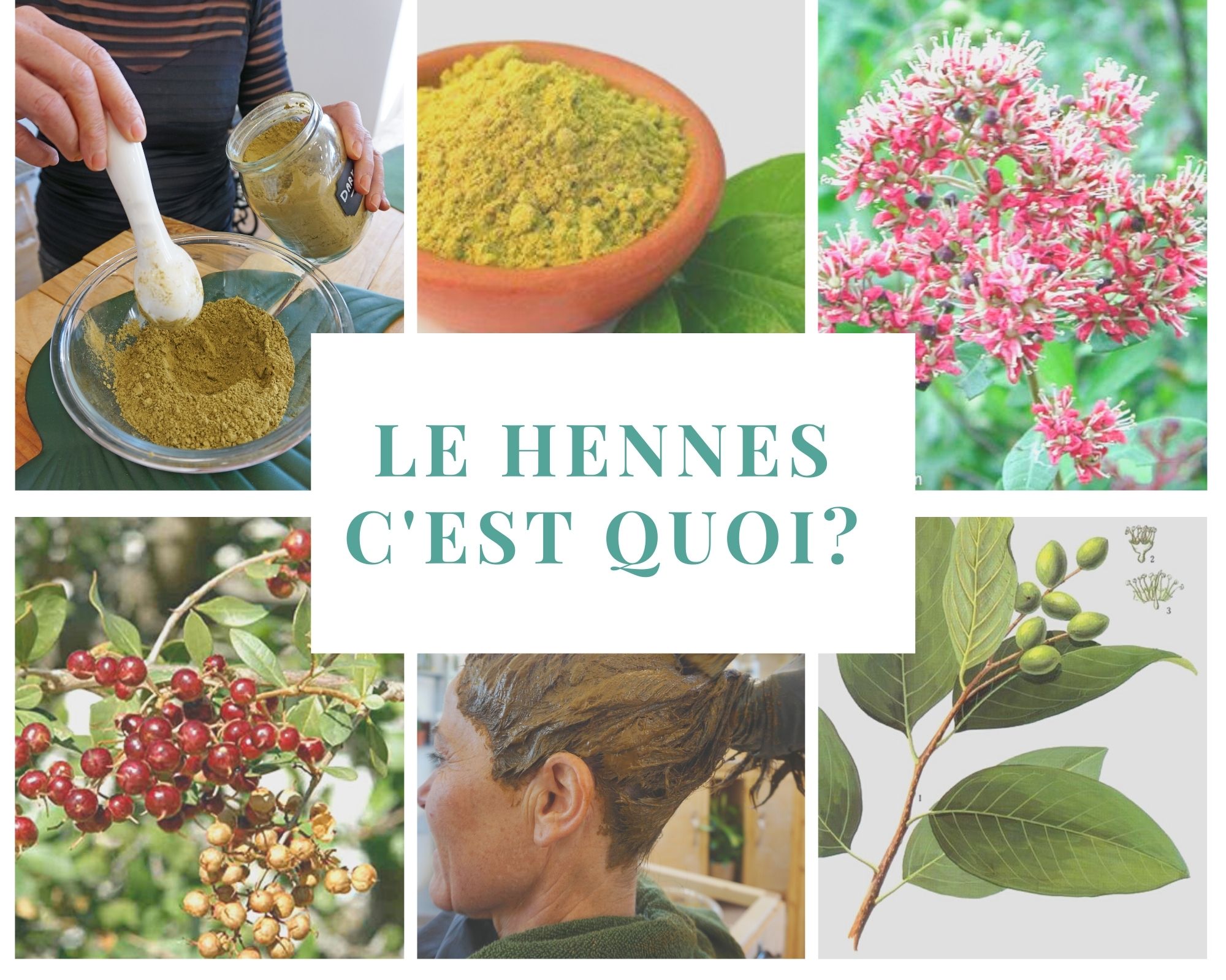 1648120431le-hennes-c-est-quoi--jpg.jpg