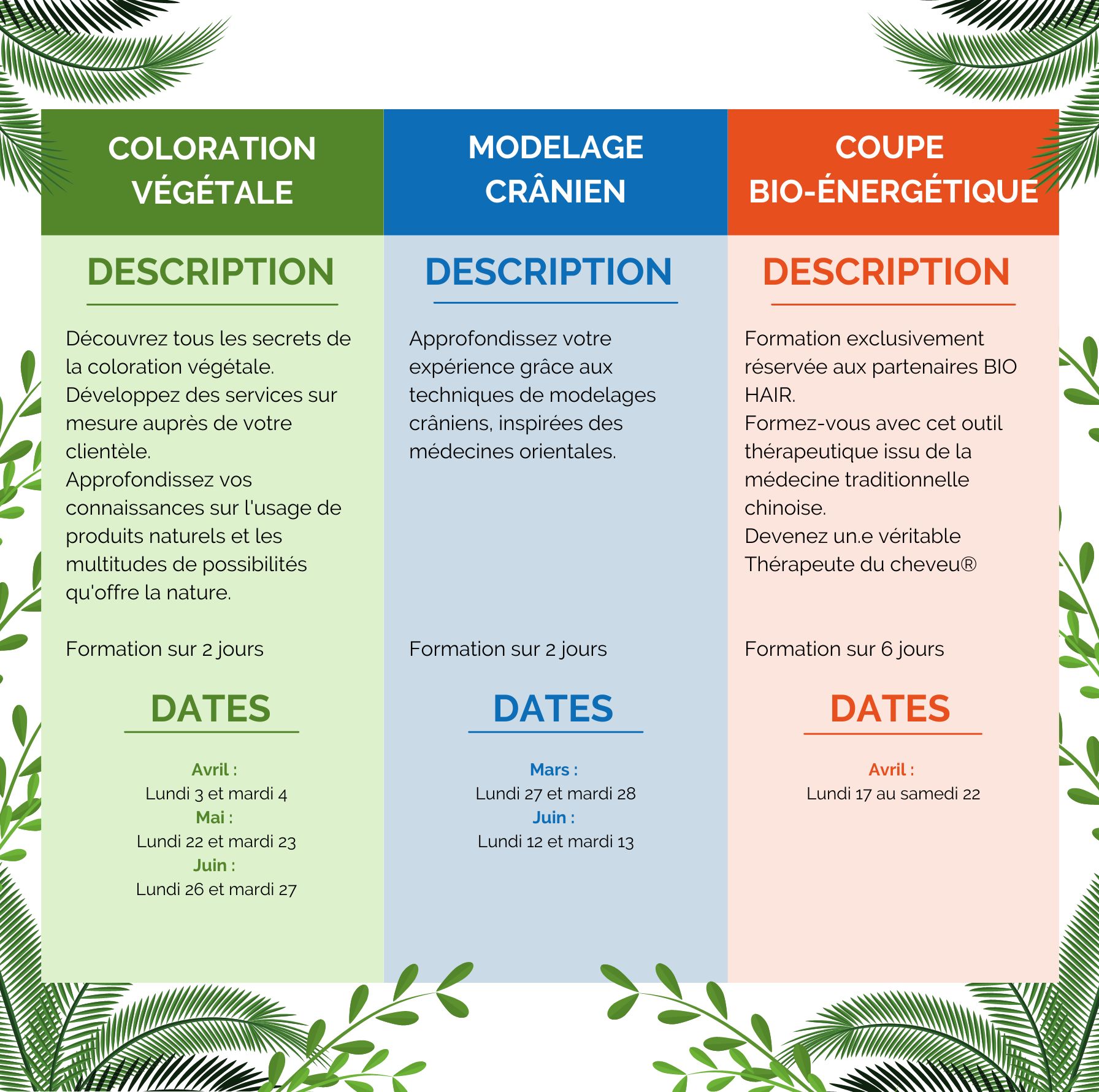 planning-formation-bio-hair