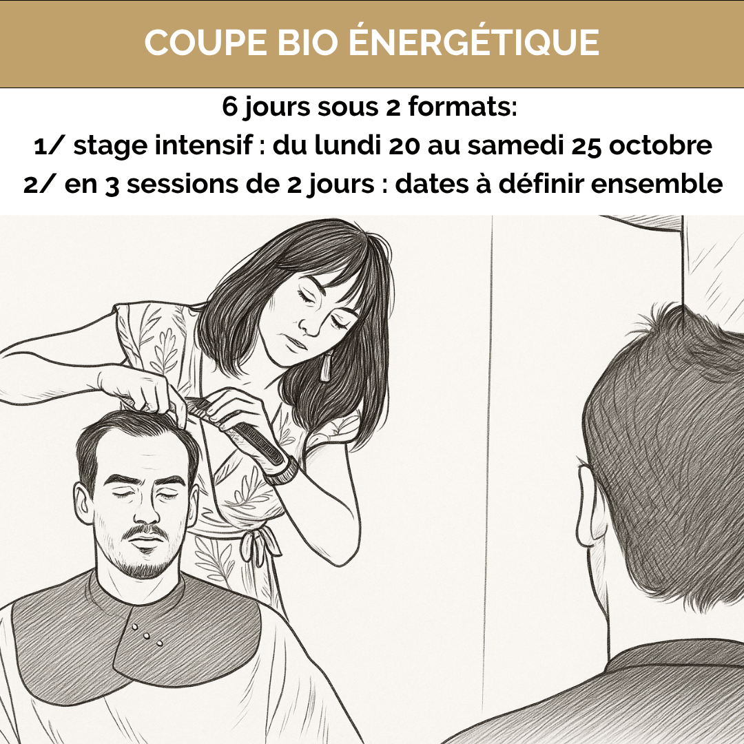 Formation coupe énergétique